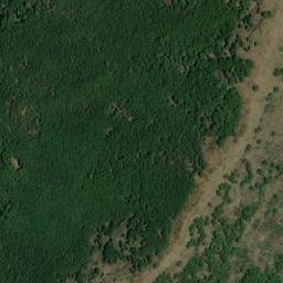 Satellite imagery of survey_point, DZ