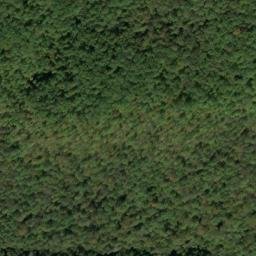 Satellite imagery of Chestnut Ridge, US