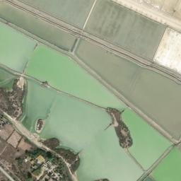 Satellite imagery of survey_point, DZ