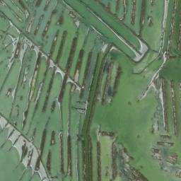 Satellite imagery of survey_point, DZ