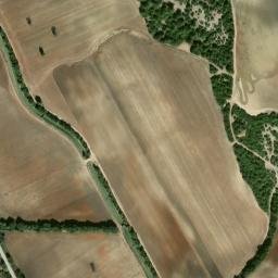 Satellite imagery of survey_point, DZ