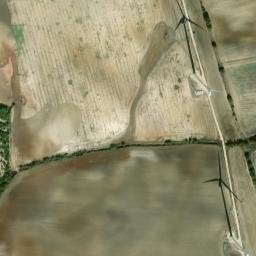 Satellite imagery of survey_point, DZ