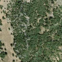 Satellite imagery of survey_point, DZ
