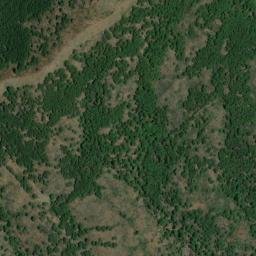 Satellite imagery of survey_point, DZ