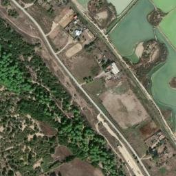 Satellite imagery of survey_point, DZ