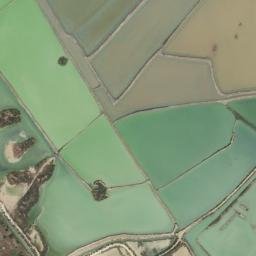 Satellite imagery of survey_point, DZ