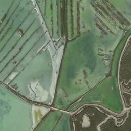 Satellite imagery of survey_point, DZ