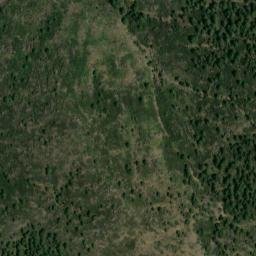 Satellite imagery of survey_point, DZ