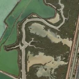 Satellite imagery of survey_point, DZ