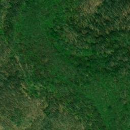 Satellite imagery of Yellow Creek Ridge, US
