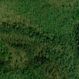Satellite imagery of Rutter Ridge, US
