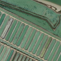 Satellite imagery of survey_point, DZ