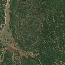 Satellite imagery of survey_point, DZ