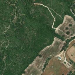 Satellite imagery of survey_point, DZ