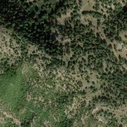 Satellite imagery of survey_point, DZ