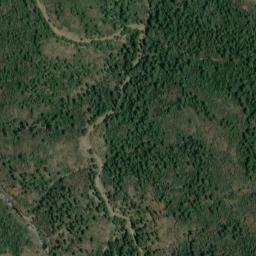 Satellite imagery of survey_point, DZ