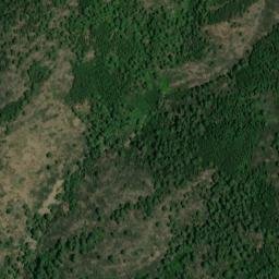 Satellite imagery of survey_point, DZ