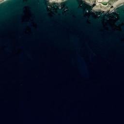 Satellite imagery of survey_point, DZ