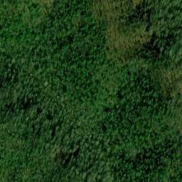 Satellite imagery of Rutter Ridge, US