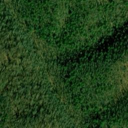 Satellite imagery of Rutter Ridge, US