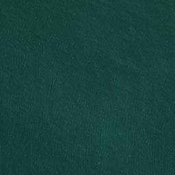 Satellite imagery of survey_point, DZ
