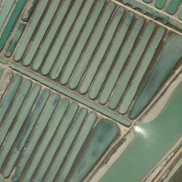 Satellite imagery of survey_point, DZ