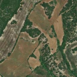 Satellite imagery of survey_point, DZ