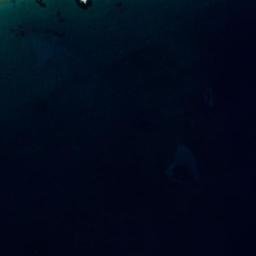 Satellite imagery of survey_point, DZ