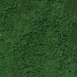Satellite imagery of Gum Fork Mine, US