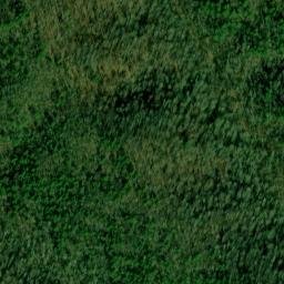 Satellite imagery of Rutter Ridge, US
