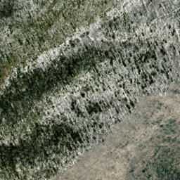 Satellite imagery of Piney Knob Ridge, US