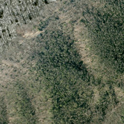 Satellite imagery of Rogers Ridge, US
