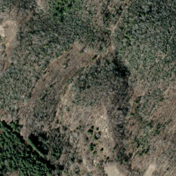Satellite imagery of Whindling Ridge, US