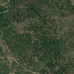 Satellite imagery of survey_point, DZ