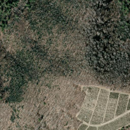 Satellite imagery of Whindling Ridge, US
