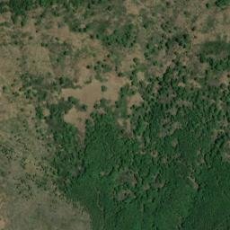 Satellite imagery of survey_point, DZ
