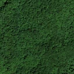 Satellite imagery of Gum Fork Mine, US