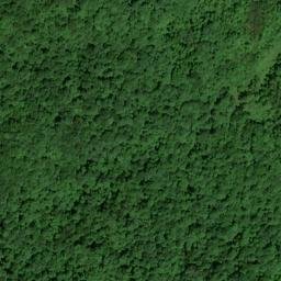 Satellite imagery of Gum Fork Mine, US