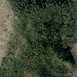 Satellite imagery of Rogers Ridge, US