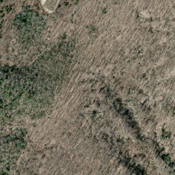 Satellite imagery of Whindling Ridge, US