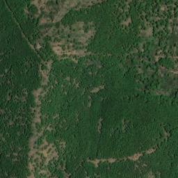 Satellite imagery of survey_point, DZ