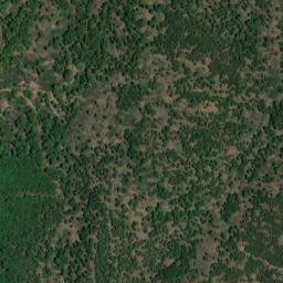 Satellite imagery of survey_point, DZ