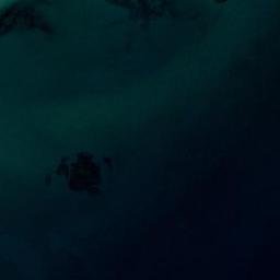 Satellite imagery of survey_point, DZ