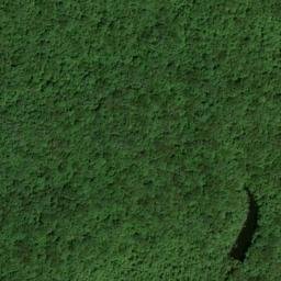 Satellite imagery of Chestnut Ridge, US