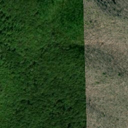 Satellite imagery of Huckleberry Ridge, US