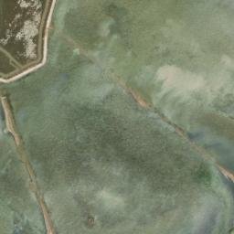 Satellite imagery of survey_point, DZ