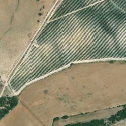 Satellite imagery of survey_point, DZ
