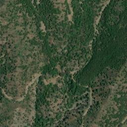 Satellite imagery of survey_point, DZ