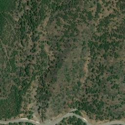 Satellite imagery of survey_point, DZ
