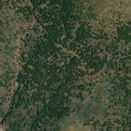 Satellite imagery of survey_point, DZ